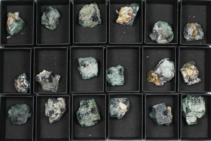 Mineral Flat: Fluorescent Rogerley Fluorite - Pieces #97125